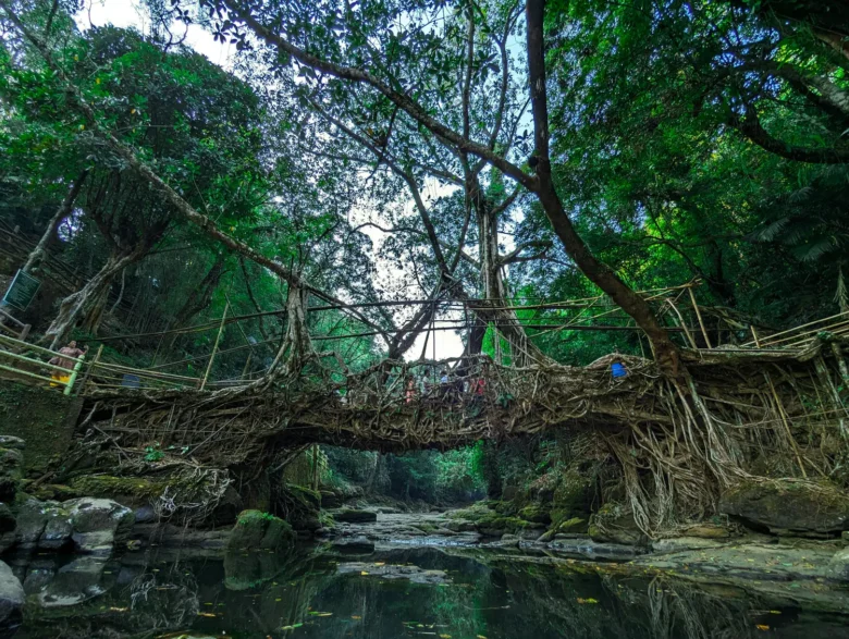 double decker root bridge cherrapunjee