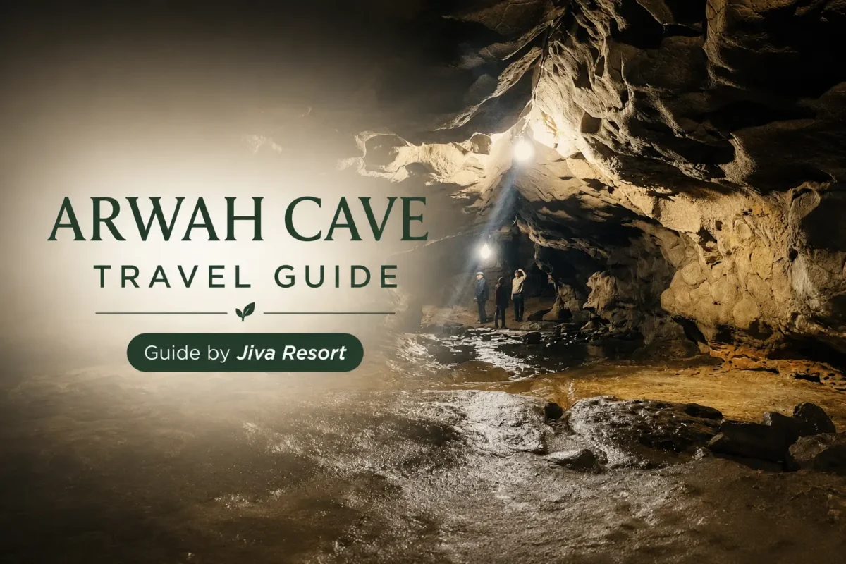 Scenic stone cliffside pathway leading through the lush green forest to Arwah Cave.